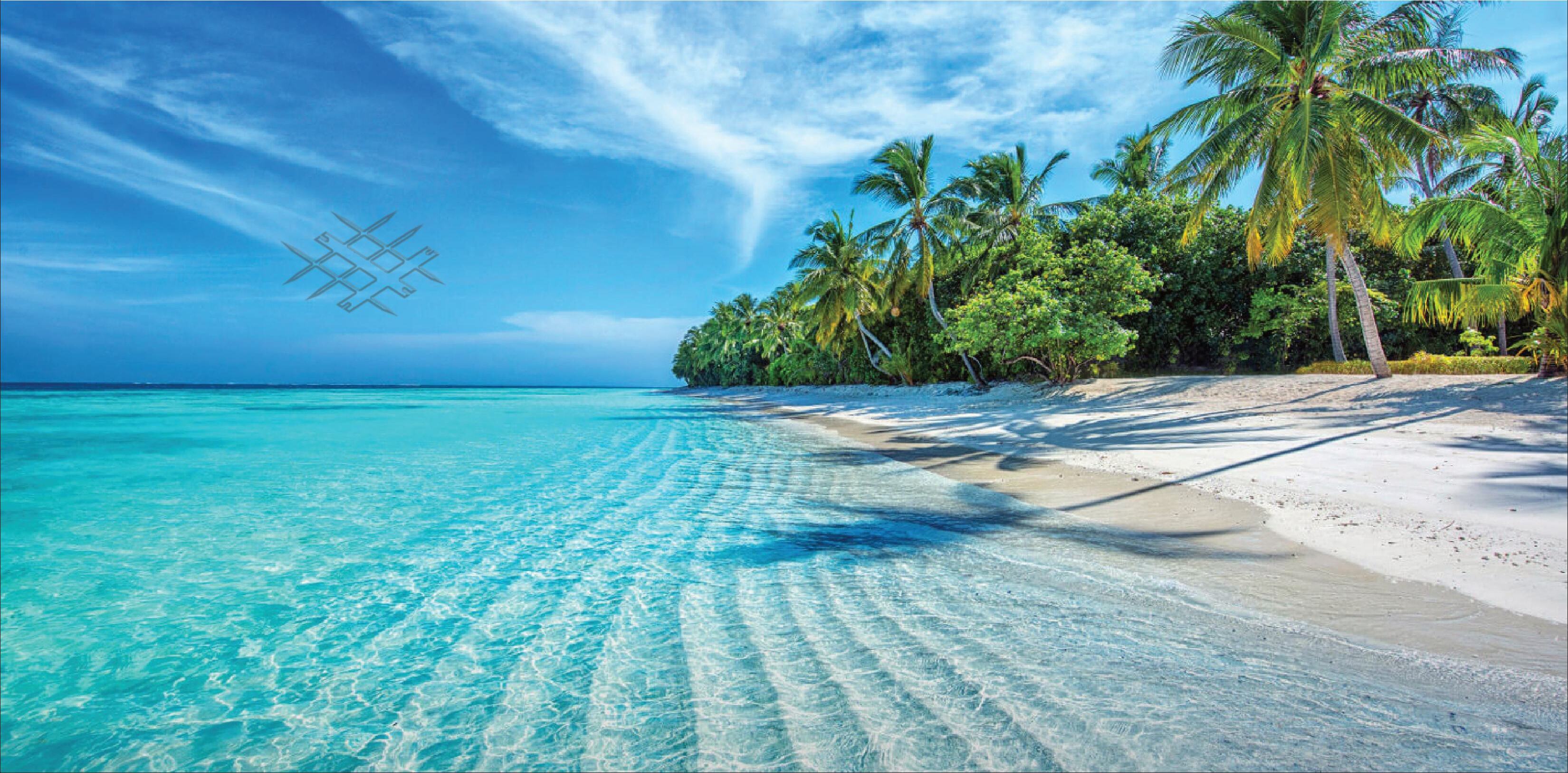Tropical Beach Shoreline
