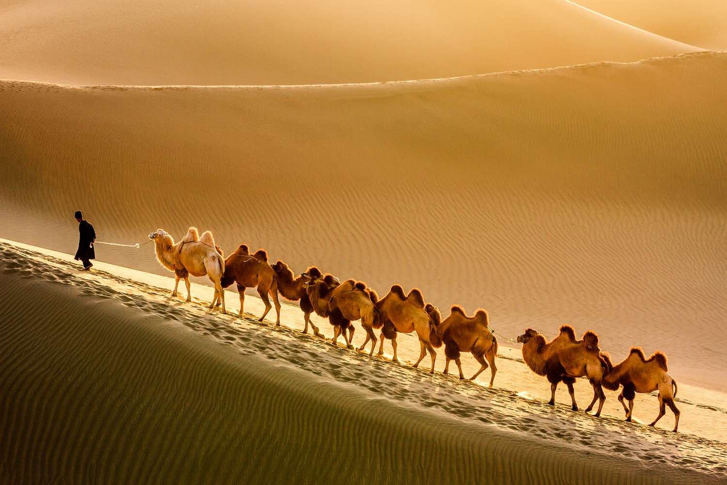 Silk Road Fine Dining